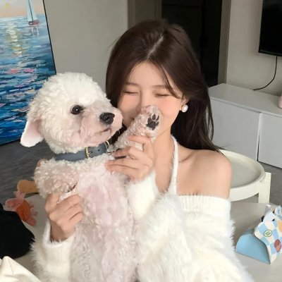 王牌特派员